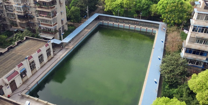 游泳池水變綠是什么原因？游泳池水處理方法