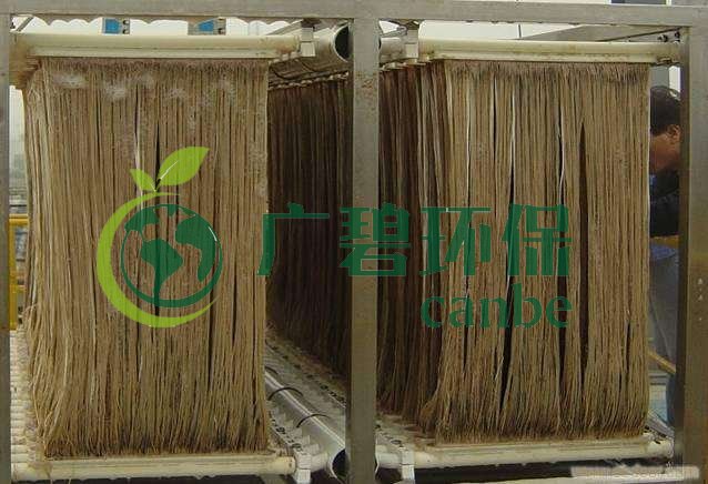 MBR污泥膨脹怎么處理？污泥膨脹的處理方法(圖1)