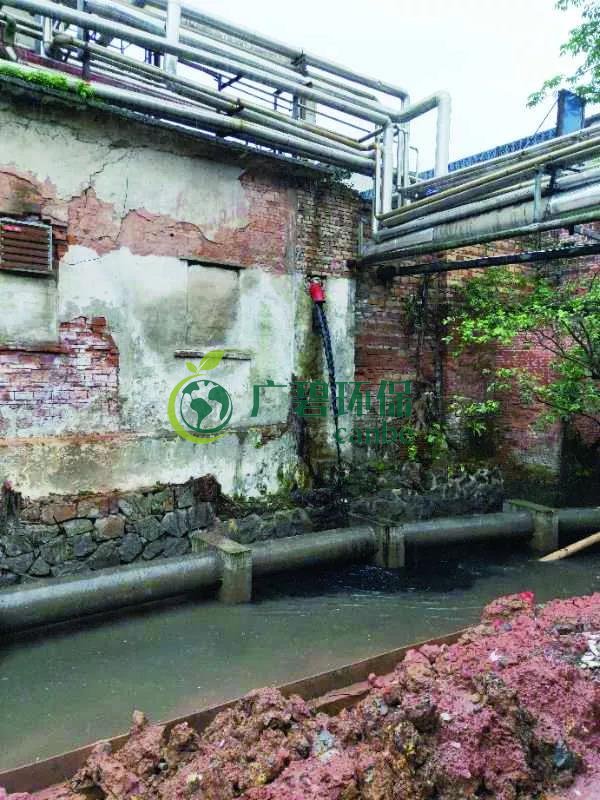 廣州海珠有污水直排河涌，3名涉案人員被行政拘留(圖1)